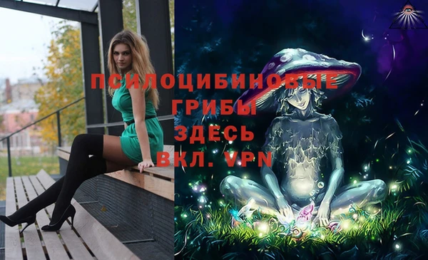 крисы Балахна