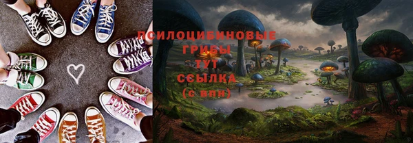 крисы Россошь